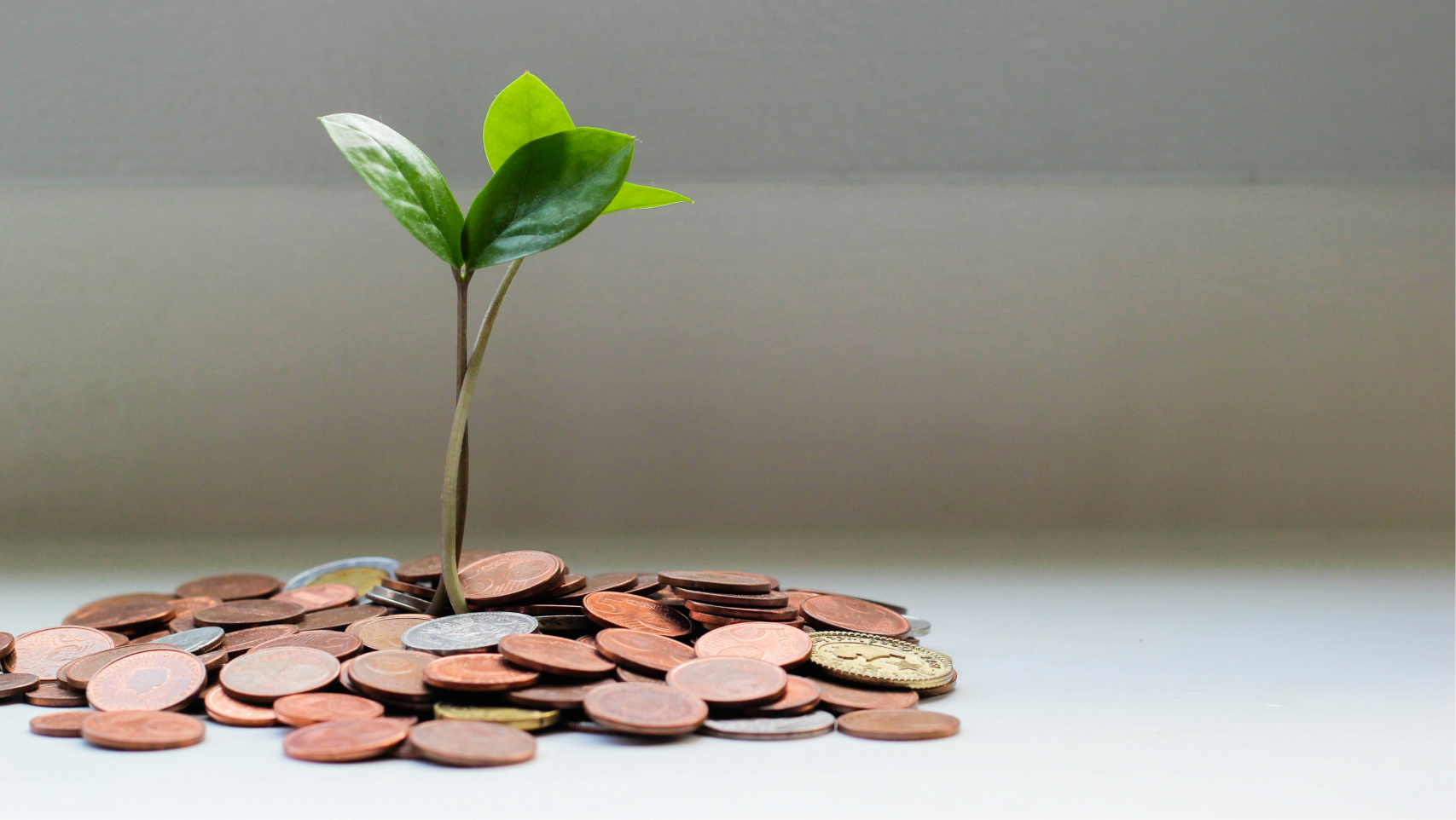 Growth Modeling Tests